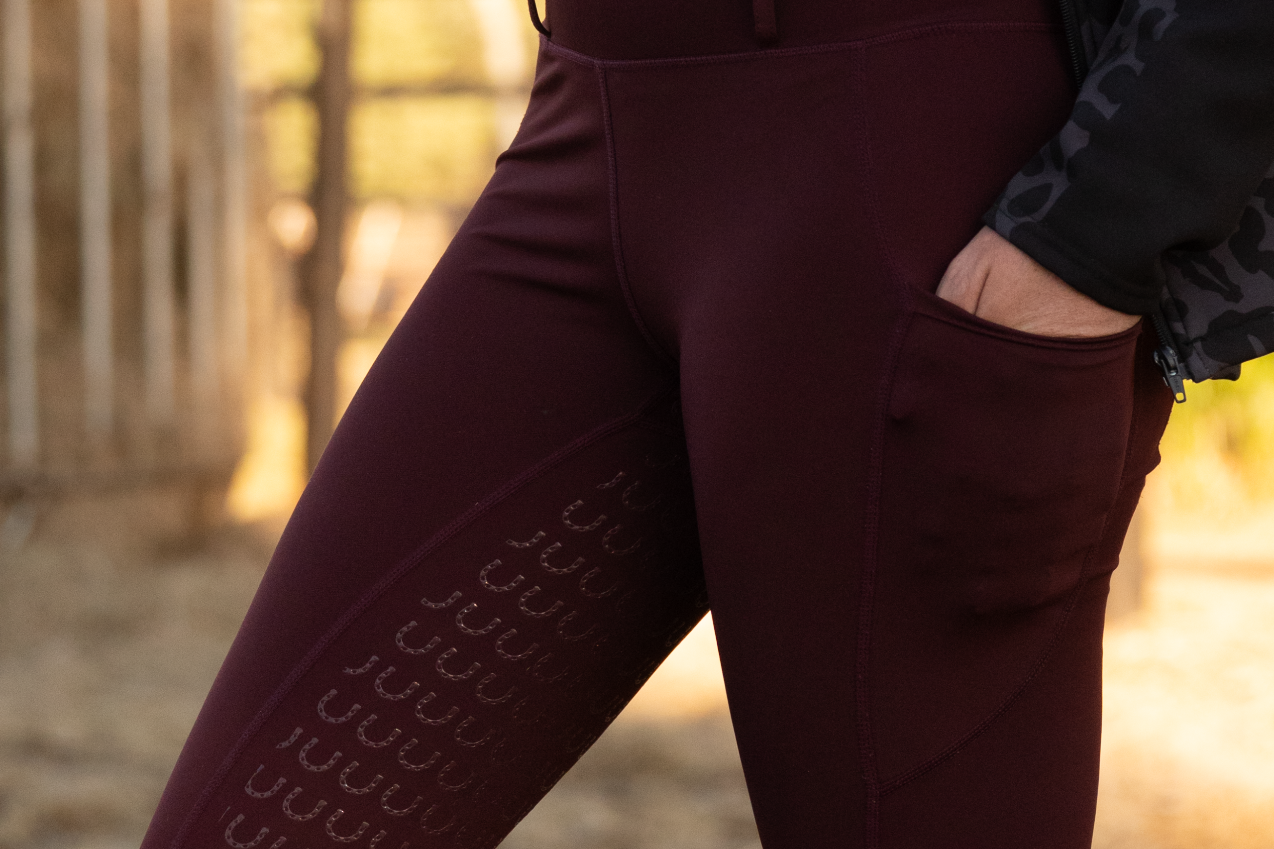 Horseshoe Breggings - Image 2