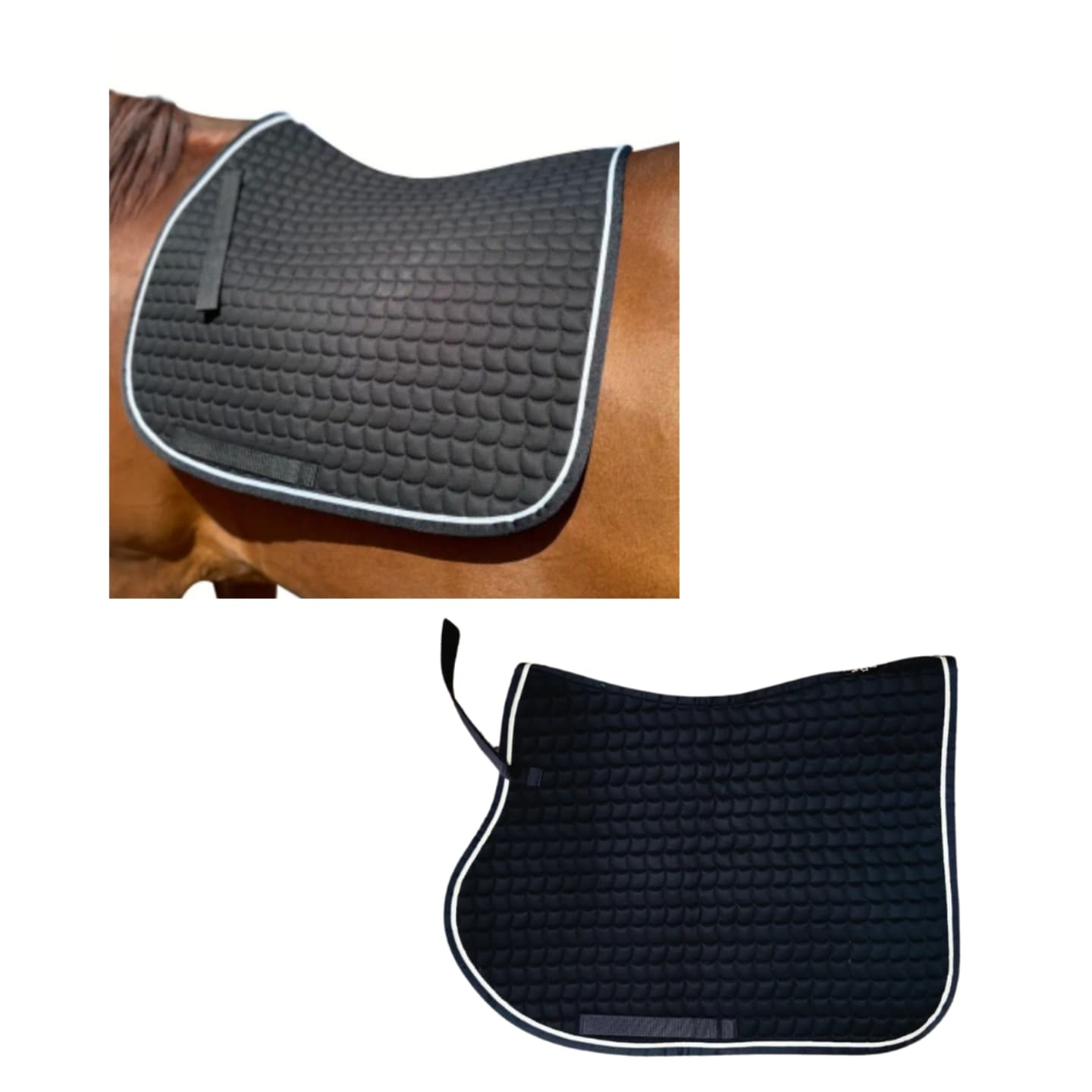 Tapis De Selle Carré Dressage Mattes - Blanc, Mat, Neuf Avec étiquettes