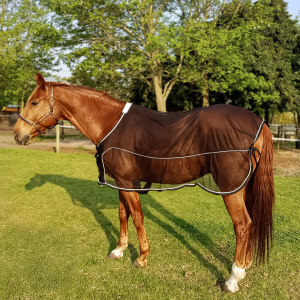 Capriole Mesh Sweat Sheet