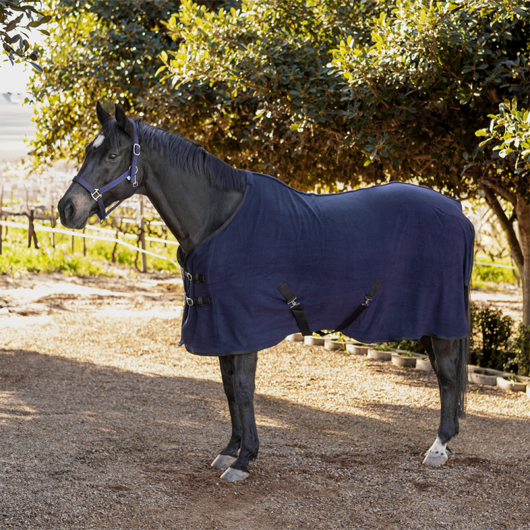 Buster Fleece Blanket – Arkle Equine