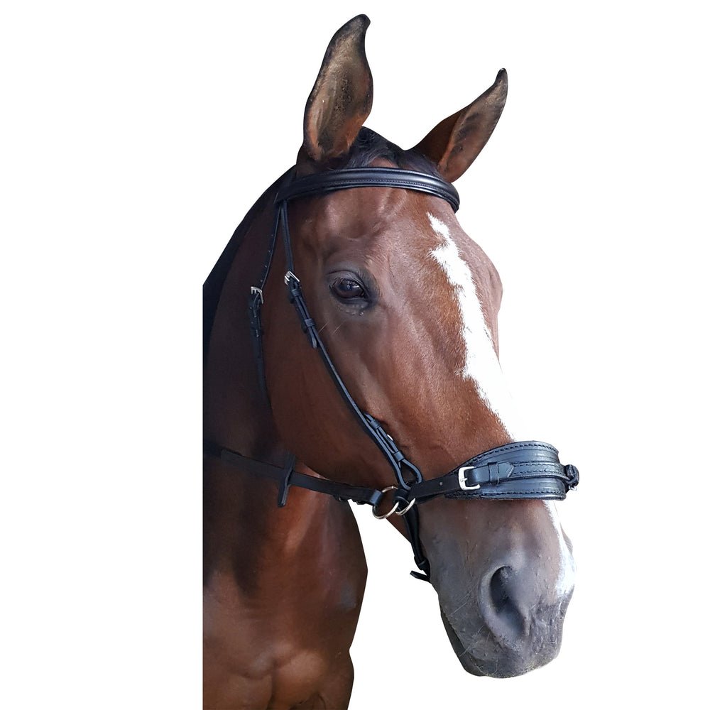 Bridle Bitless Crank Noseband Solo