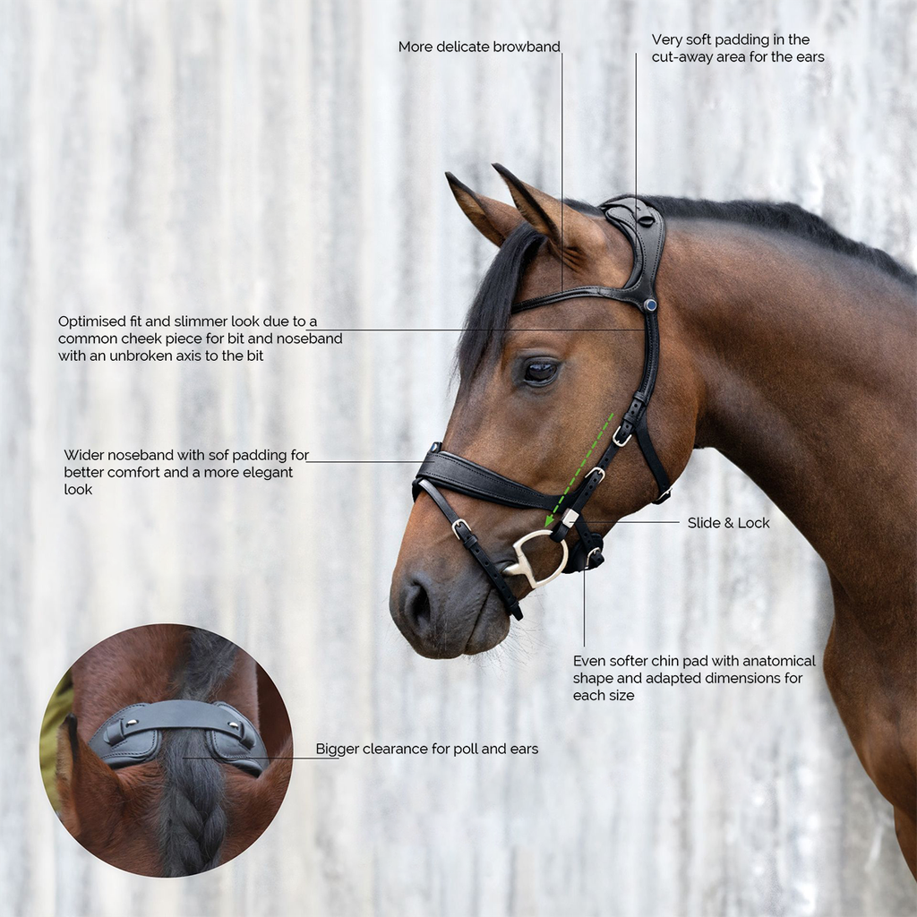 Stübben Freedom II Snaffle Bridle with Combined Noseband - Image 2