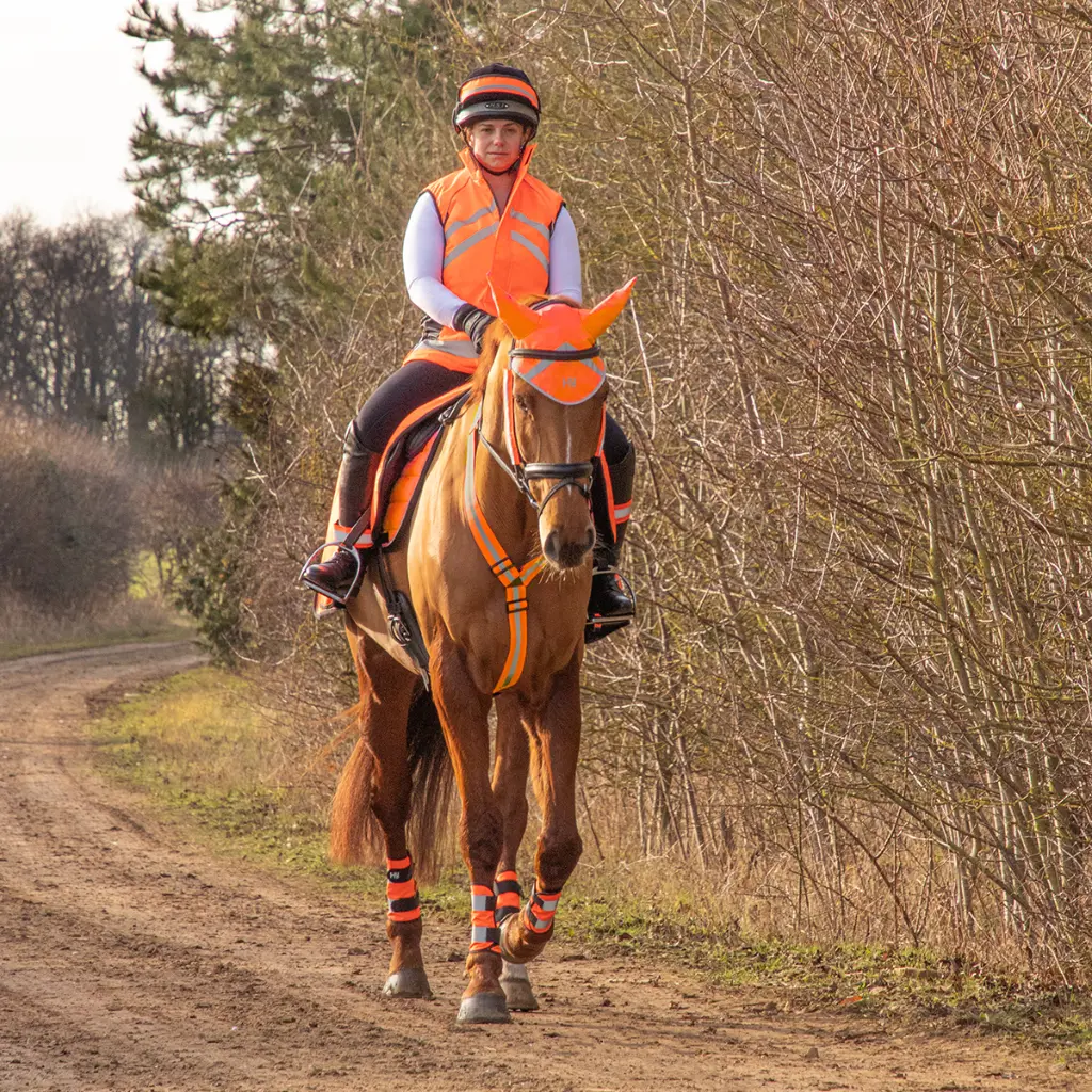 Hi-Viz Reflector Waistcoat - Image 2