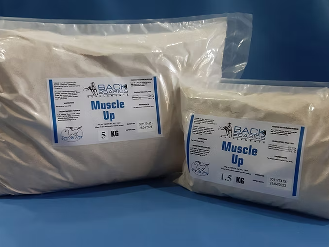 MuscleUp Supplement