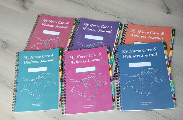 Horse care/wellness journal - Image 3
