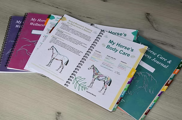 Horse care/wellness journal - Image 2