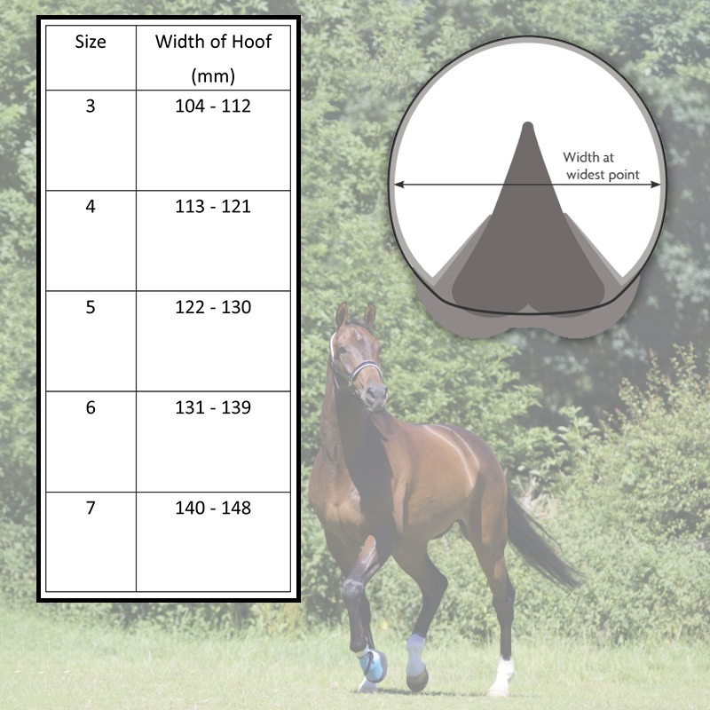 Woof Wear Medical Hoof Boot - Image 4