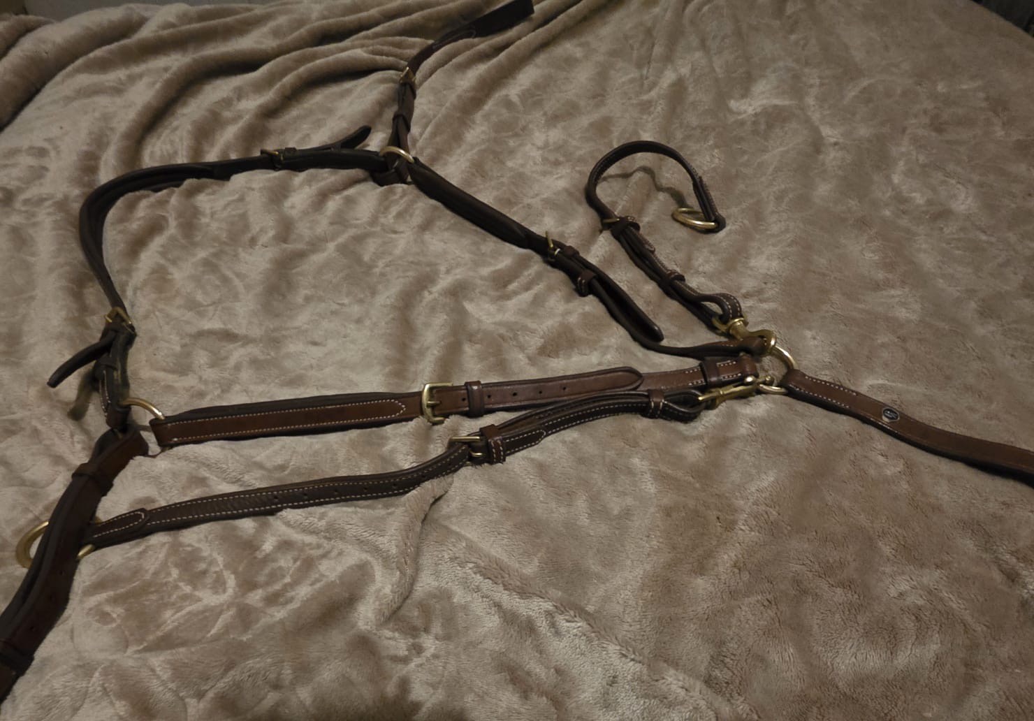 M8 AE Martingale and Breastplate (Cob) - Image 2