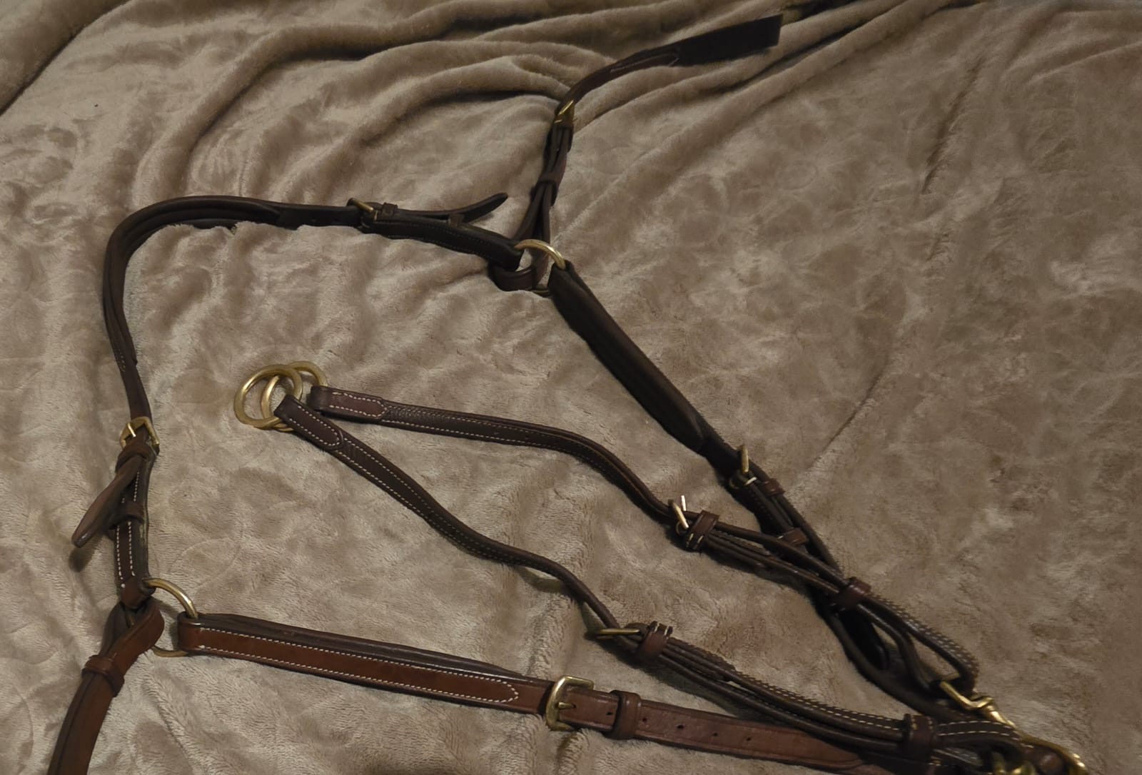 M8 AE Martingale and Breastplate (Cob) - Image 3