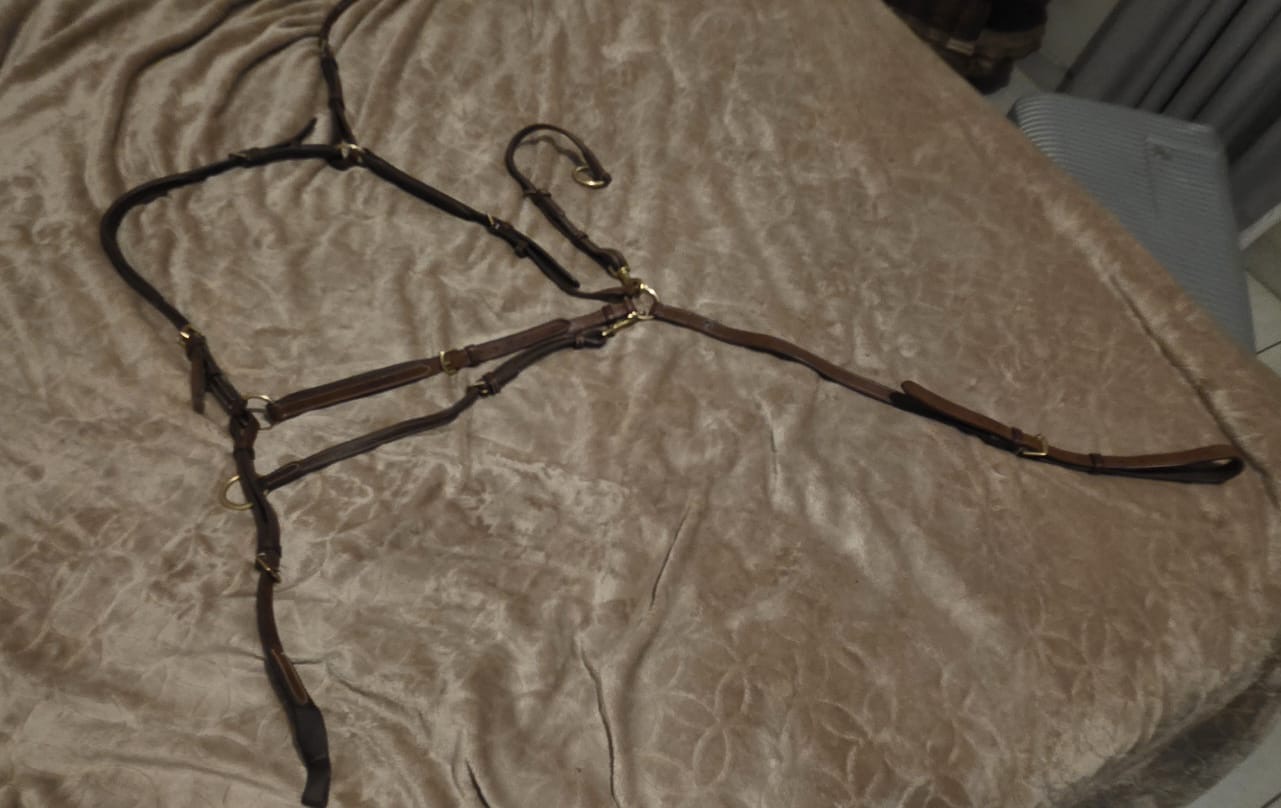 M8 AE Martingale and Breastplate (Cob) - Image 5
