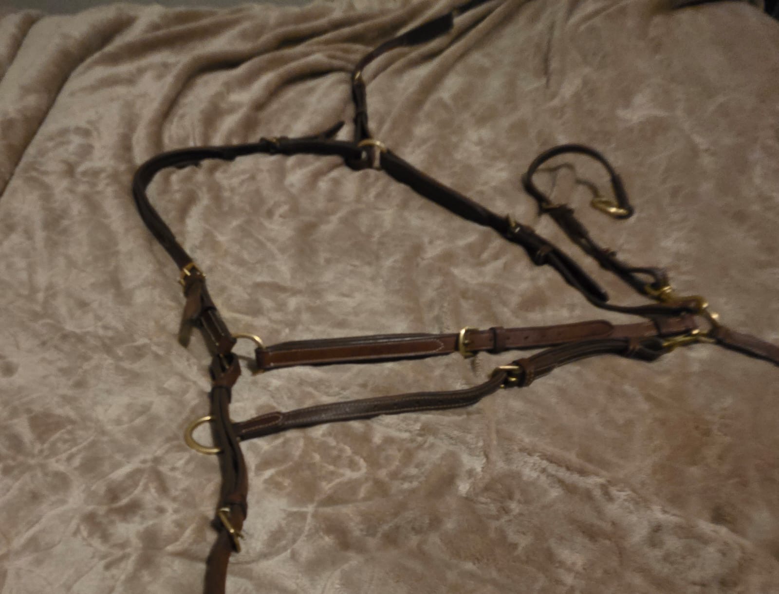 M8 AE Martingale and Breastplate (Cob)