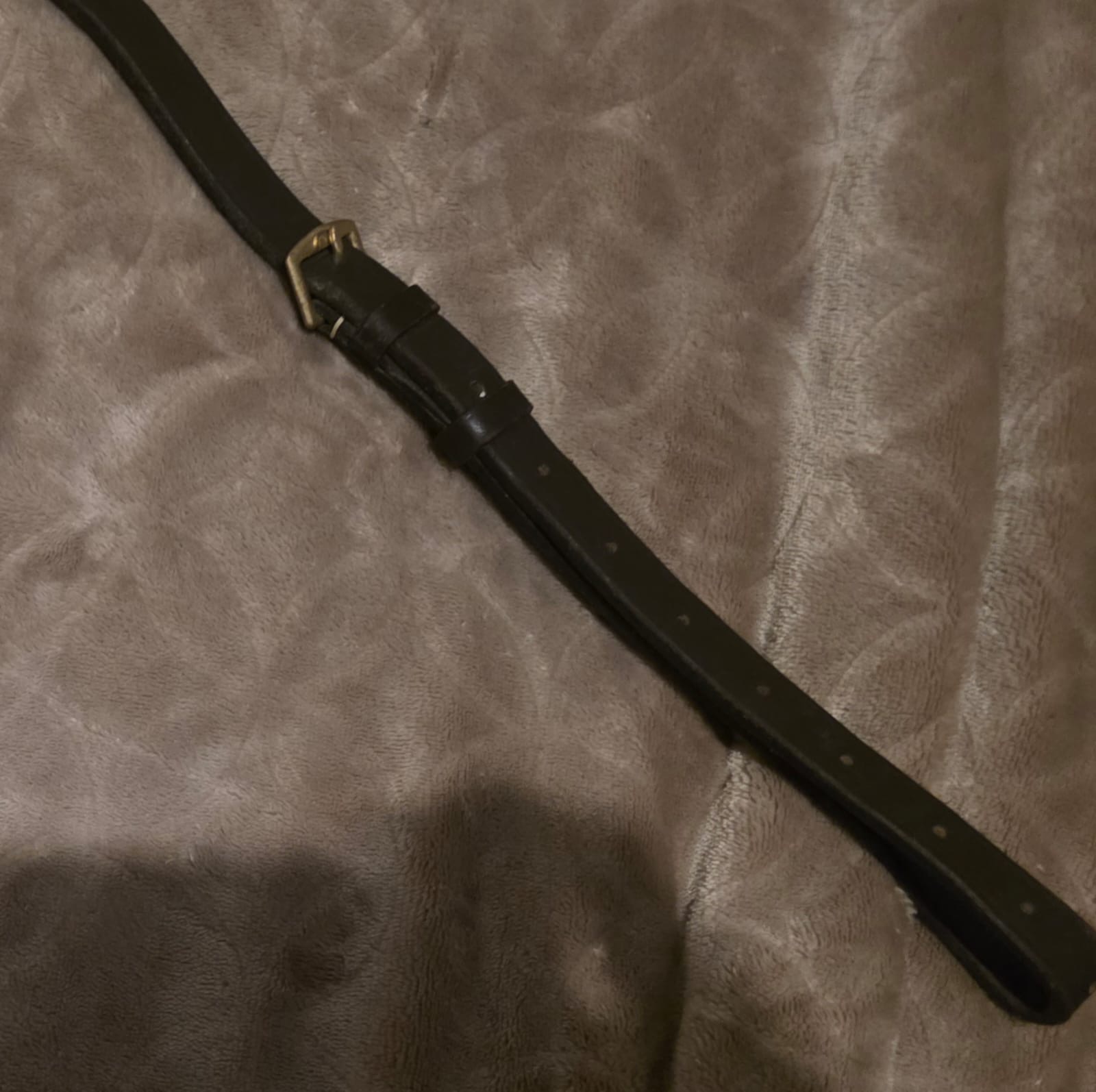 M5 Martingale & Breastplate (Cob) - Image 2