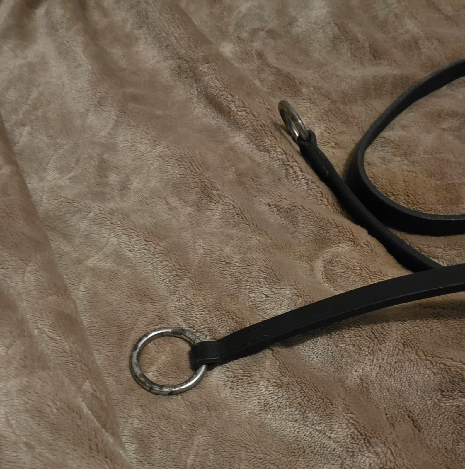 M1 black running Martingale (cob) - Image 2
