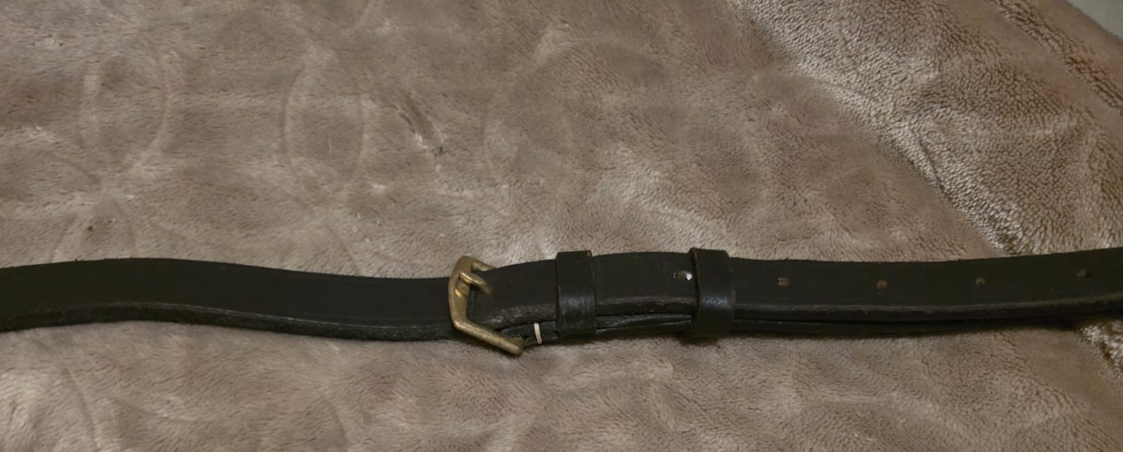 M5 Martingale & Breastplate (Cob) - Image 3