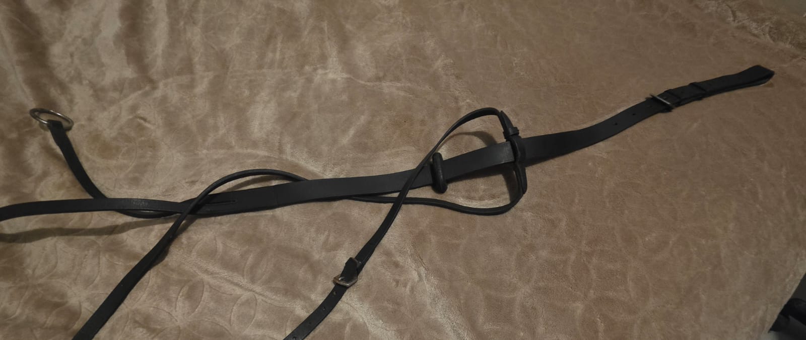 M1 black running Martingale (cob)