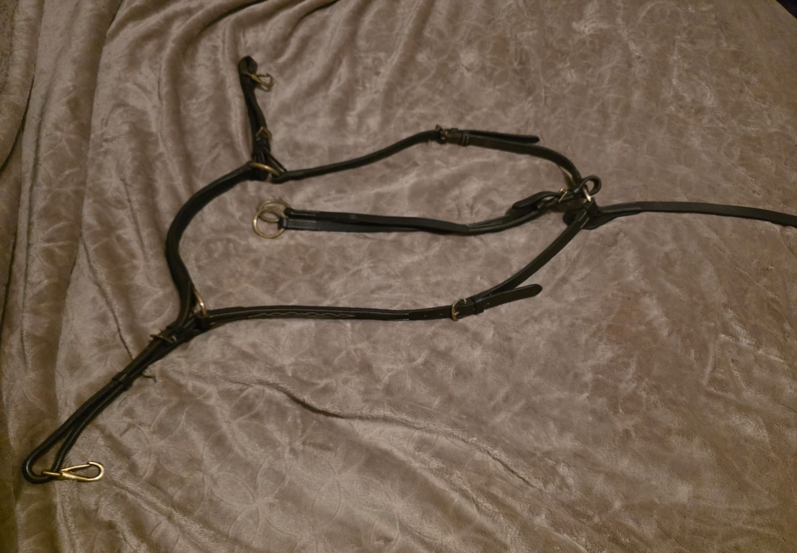 M5 Martingale & Breastplate (Cob) - Image 4