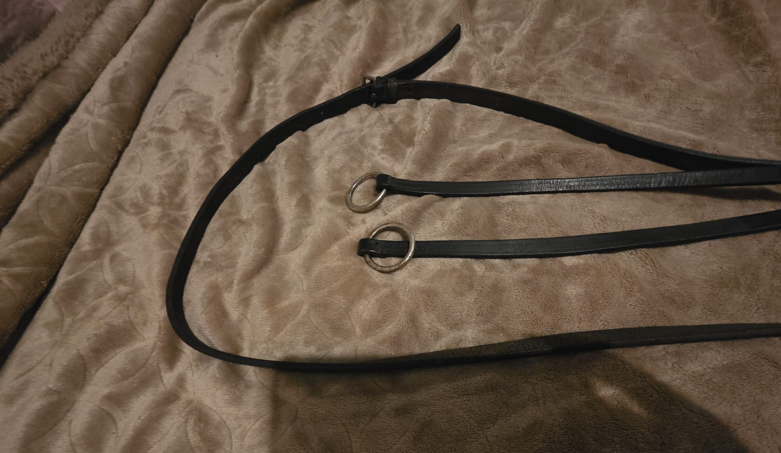 M4 Plain Cob Running martingale - Image 2