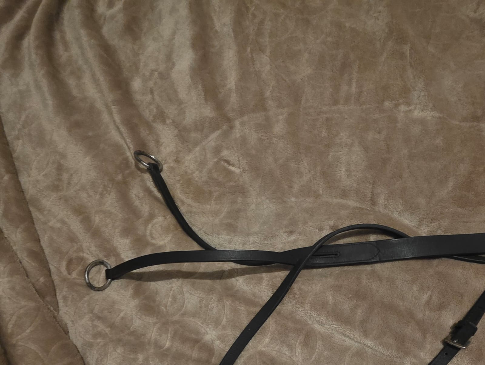 M1 black running Martingale (cob) - Image 4