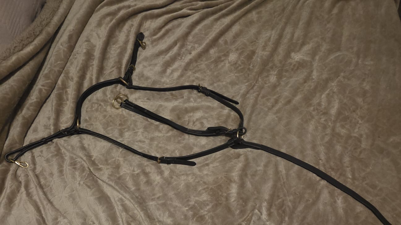 M5 Martingale & Breastplate (Cob)