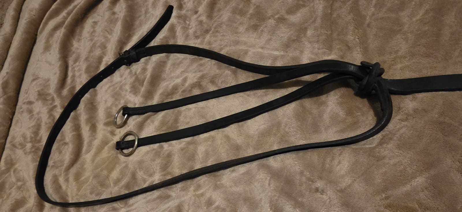 M4 Plain Cob Running martingale - Image 3