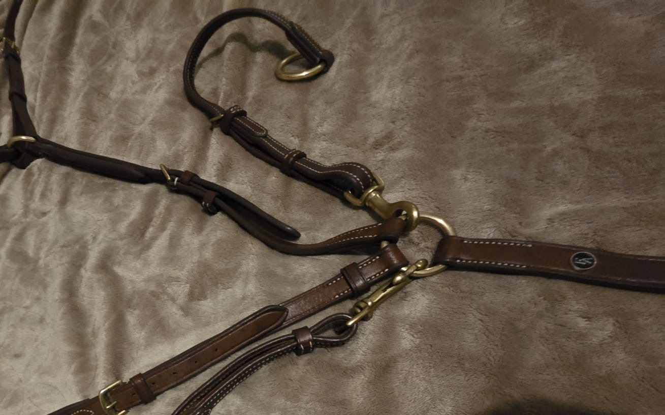 M8 AE Martingale and Breastplate (Cob) - Image 4