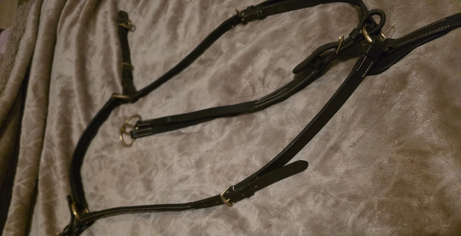 M5 Martingale & Breastplate (Cob) - Image 5