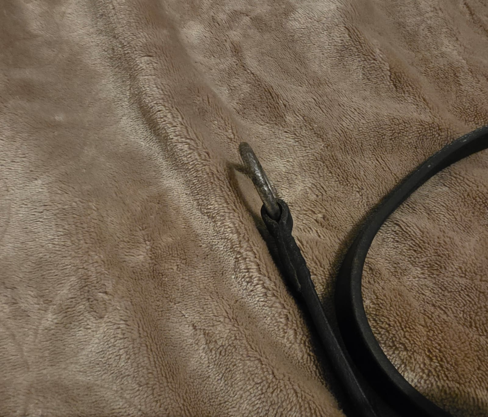 M1 black running Martingale (cob) - Image 5