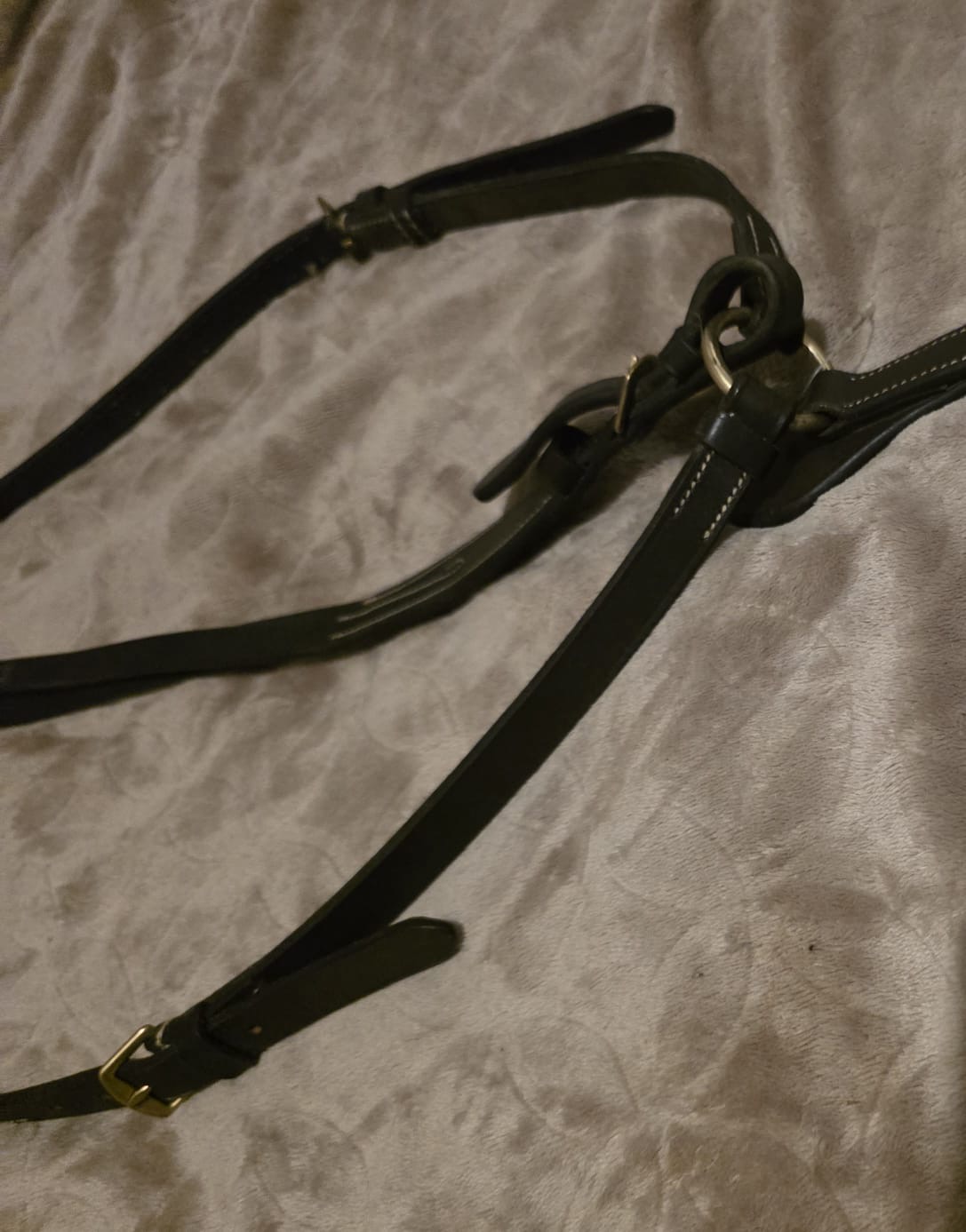 M5 Martingale & Breastplate (Cob) - Image 6