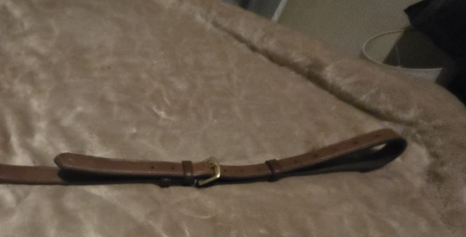 M8 AE Martingale and Breastplate (Cob) - Image 6