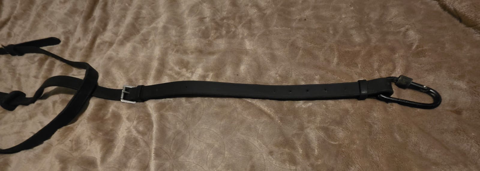 M7 Plain Black Martingale(Cob) - Image 4